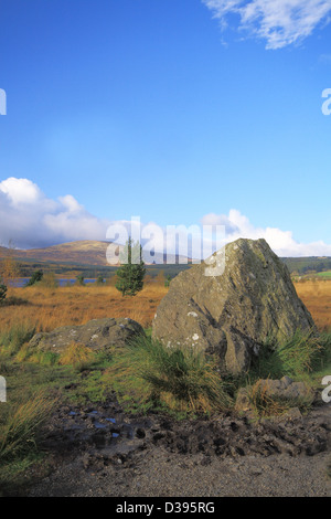 Bruces Stein am Clatteringshaw Loch, Galloway Forest Park, Schottland Stockfoto