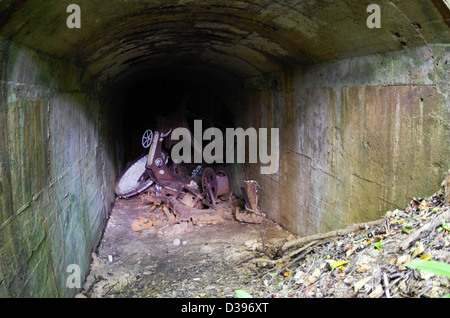 Blick vom Eingang zu den Überresten der WWII Higashi Port Searchlight Basis auf Hahajima, Ogasawara-Inseln, Tokyo, Japan Stockfoto