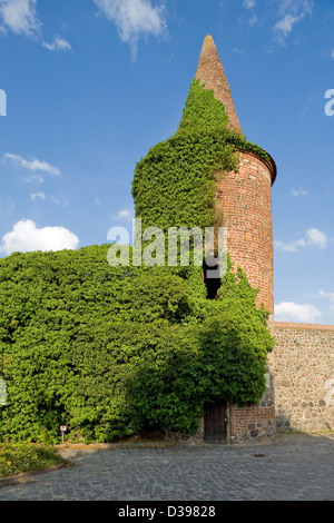 Der Pulverturm in der historischen Stadtmauer Templin, Deutschland Stockfoto