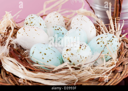 Rosa Geschenk mit Schleife und bunte Tulpen festliches Oster-Deko Stockfoto