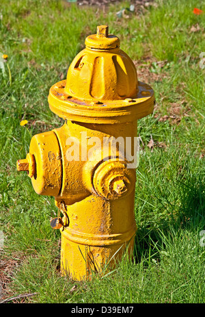 Dies ist eine Nahaufnahme von einem schlicht gelb Hydranten in einem vertikalen Format mit Rasen. Geschnitten Sie ziemlich frisch lackiert, noch einige Risse Stockfoto