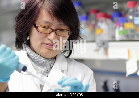 Wissenschaftler Pipettieren Flüssigkeit im Labor Stockfoto