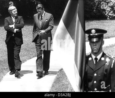 (Dpa-Dateien) - Helmut Schmidt (L), deutscher Bundeskanzler, Spaziergänge mit uns Präsident Ronald Reagan (R) im Garten des weißen Hauses in Washington, D.C., 21. Mai 1981. Schmidt war bei einem dreitägigen Besuch in die USA. Stockfoto