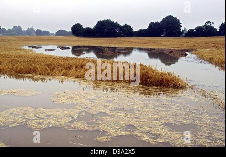 (Dpa) - ist das Feld in der Nähe von Niendorf in der deutschen Provinz Schleswig-Holstein überflutet, 18. Juli 2002. Starke Regenfällen wurden Überschwemmungen und Ernte Verluste für die Bauern in Norddeutschland über Nacht verursacht. Stockfoto