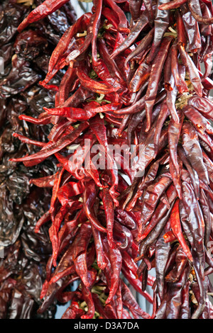 Getrocknete Chilis zum Verkauf bei Borough Food Market in Lonodn UK Stockfoto