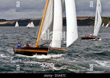 Stella konkurriert in Falmouth Klassiker. Stockfoto