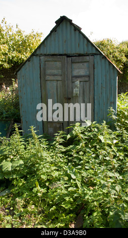 Überwucherten Zuteilung Schuppen Stockfoto