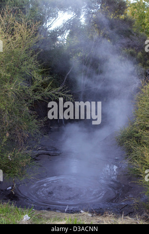 Rotorua Nordinsel Neuseeland Reise Tourismus Stockfoto