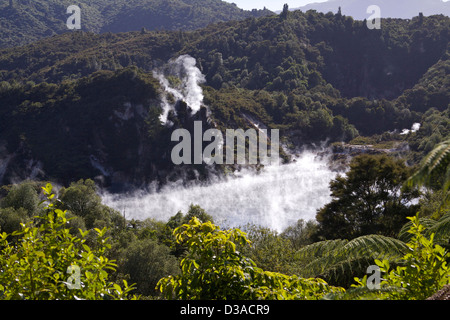 Waimangu Volcanic Valley Nordinsel Neuseeland Stockfoto