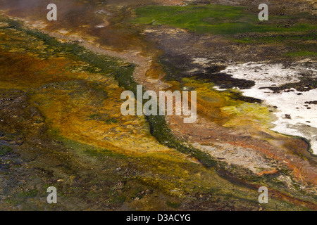 Waimangu Volcanic Valley Nordinsel Neuseeland Stockfoto