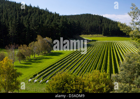 Napier Nordinsel Neuseeland Reise Tourismus Stockfoto