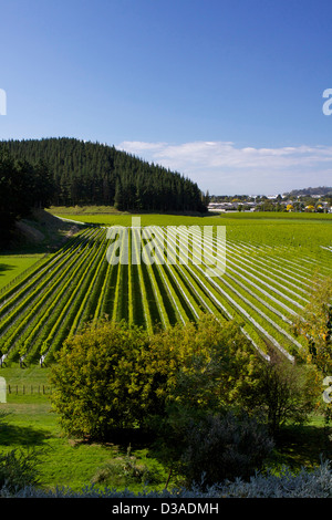 Napier Nordinsel Neuseeland Reise Tourismus Stockfoto