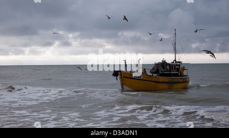 Angelboot/Fischerboot Landung, umgeben von Möwen, Hastings, UK Stockfoto