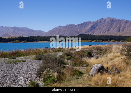 Lake Tekapo Südinsel Neuseeland Reisen Stockfoto