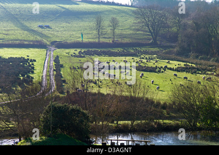 Ländliches Motiv im Herbst, Devon UK Stockfoto