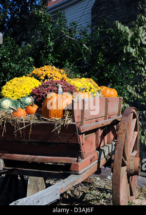 Herbstblumen und Kürbisse in alten Wagen Shepherdstown Westvirginia, alte Wagen, Wagen, Herbstblumen, Kürbisse, Stockfoto