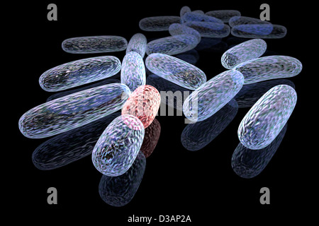 3D gerenderten Konzept der transformierten Bakterien Stockfoto