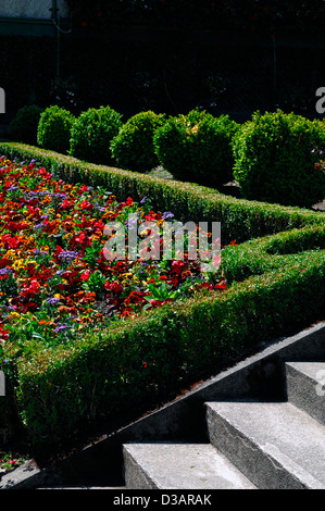 Italienischer Garten Querschnittsfläche Butchart Gardens Brentwood Bay Victoria British Columbia Kanada Reihenhaus hedging Feld hedge Stockfoto