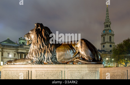 Löwe am Trafalgar square Stockfoto