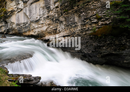 Wasserfall fällt Wildwasser Johnston Creek Johnston Canyon Bow Valley Parkway Banff Nationalpark Alberta Kanada Stockfoto