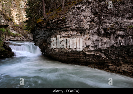 Wasserfall fällt Wildwasser Johnston Creek Johnston Canyon Bow Valley Parkway Banff Nationalpark Alberta Kanada Stockfoto