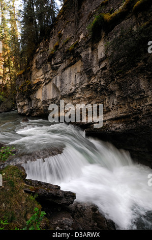 Wasserfall fällt Wildwasser Johnston Creek Johnston Canyon Bow Valley Parkway Banff Nationalpark Alberta Kanada Stockfoto