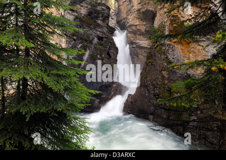 Wasserfall fällt Wildwasser Johnston Creek Johnston Canyon Bow Valley Parkway Banff Nationalpark Alberta Kanada Stockfoto