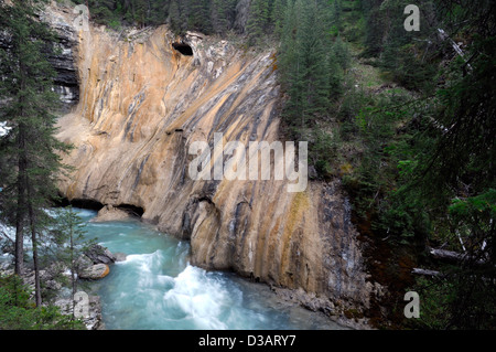 Wasserfall fällt Wildwasser Johnston Creek Johnston Canyon Bow Valley Parkway Banff Nationalpark Alberta Kanada Stockfoto