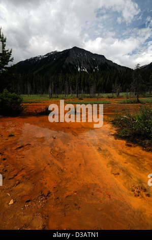 Paint Pots Kootenay Nationalpark in British Columbia Kanada Ocker Farbe farbigen Betten Lehm Boden Heilige Stätte der ersten Nationen Indianer Stockfoto