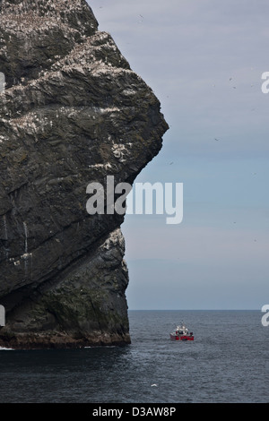 Das Meer Stacs Stac Lee, Stac An Armin und die Insel Boreray mit Kolonien von Seevögeln, Hilda des St. Kilda-Archipels Stockfoto