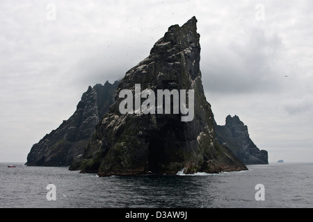 Das Meer Stacs Stac Lee, Stac An Armin und die Insel Boreray mit Kolonien von Seevögeln, Hilda des St. Kilda-Archipels Stockfoto