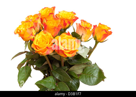 Rote und gelbe Rosen Blumenstrauß isoliert auf weiss Stockfoto
