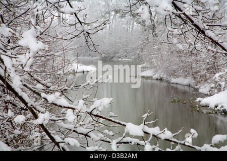 Kleine Donau Fluß im Winter - West-Slowakei Stockfoto