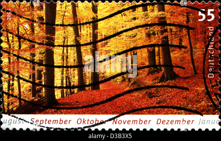 Deutschland - ca. 2005: Eine Briefmarke gedruckt in der Bundesrepublik Deutschland zeigt Herbstwald, ca. 2005 Stockfoto