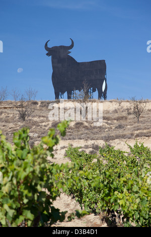 Statue der schwarzen Stier auf Bergrücken oberhalb der Weinberge im Bereich Briones in der Region La Rioja, Spanien. Stockfoto