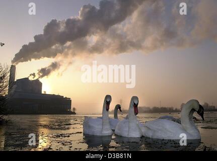 (Dpa) - schwimmen Schwäne in den frühen Morgenstunden in einer Bucht an der Elbe in der Nähe von Hamburg, 13. Dezember 2002. Im Hintergrund das Kraftwerk Tiefstack. Stockfoto