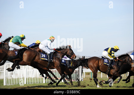 Jockeys springen während des Cheltenham Festivals eine jährliche Pferd Renn-Veranstaltung in England ihre Pferde über einen Zaun Stockfoto