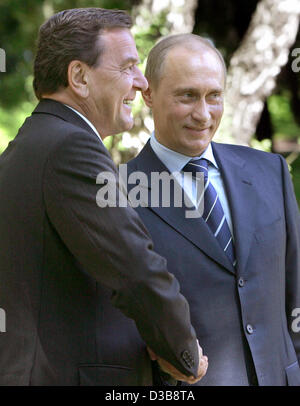 (Dpa) - Russian President Wladimir Putin (R) begrüßt Bundeskanzler Gerhard Schroeder in Swetlogorsk, Russland, Sonntag, 3. Juli 2005. Nach einem Tri-Lateral treffen Schroeder, wird Putin und der französische Präsident Jacques Chirac an den Feierlichkeiten zum 750jährigen Jubiläum der Stadt Kalinin teilnehmen. Stockfoto