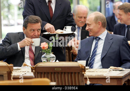 (Dpa) - Russian President Wladimir Putin (R) begrüßt Bundeskanzler Gerhard Schroeder in Swetlogorsk, Russland, Sonntag, 3. Juli 2005. Nach einem Tri-Lateral treffen Schroeder, wird Putin und der französische Präsident Jacques Chirac an den Feierlichkeiten zum 750jährigen Jubiläum der Stadt Kalinin teilnehmen. Stockfoto