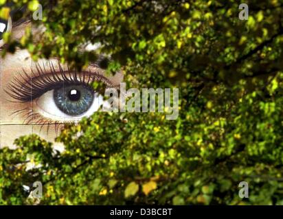 (Dpa) - große Schwester beobachtet Sie: ein Auge blickt hinter einem Busch in einem Park in Berlin, 10. Oktober 2002. Eigentlich, das Auge ist Teil einer riesigen Plakatwand für Kosmetika und gehört zur australischen Sängerin Natalie Imbruglia... Stockfoto
