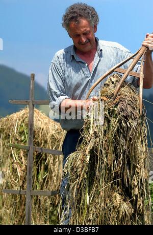 (Dpa) - setzt Otto Schall mit einer hölzernen Gabel Heu auf einer sogenannten Heinzen (L), ein hölzernes Gerät auf dem Rasen in drei Schichten in Oberstdorf, Deutschland, 5. Juni 2003 Trocknen aufgehängt ist. Der Vorteil dieser traditionellen Methode ist, dass die Feuchtigkeit abtropfen kann, während die neuen Methoden der Trocknung des Rasens Stockfoto