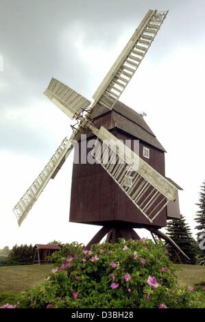 (Dpa) - Blick auf eine 250 Jahre alte Windmühle in der Nähe von Zierau, Deutschland, 3June 2003. An Pfingsten 68 öffnete Wind- und Wassermühlen Türen für interessierte Besucher zwischen Arendsee und Zeitz. Es gibt mehr als 1.300 Mühlen in ganz Deutschland. Stockfoto