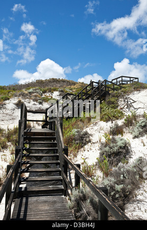 Schritte bis zur Lucky Bay anzeigen Plattform. Lucky Bay, Cape Le Grand Nationalpark, Esperance, Western Australia, Australien Stockfoto