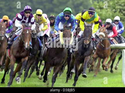 (Dpa) - ist eine Gruppe von Pferden im Laufe in Iffezheim, Deutschland, 27. Mai 2003 im Galopp. Die traditionelle Frühjahrstagung statt findet auf der Rennstrecke in der Nähe von Baden Baden bis zum Ende dieser Woche. Stockfoto