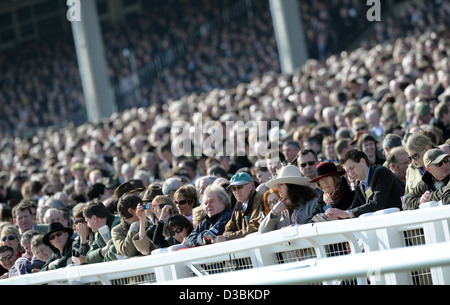 Menschen sehen die Rennen beim Cheltenham Festival, ein jährliches Pferderennen Fixpunkt im Südwesten Englands Stockfoto