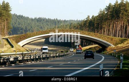 (Dpa) - eine Brücke für Spiel und Hirsch erstreckt sich über die Autobahn A71 bei Ilmenau, Deutschland, 22. September 2003. Es gab 36 so genannte "grüne Brücken" und eine weitere 41 geplant oder im Bau in Deutschland im Jahr 2002. Diese Brücken können Waldtiere, gefährliche Straßen und Autobahnen zu überqueren. Es gibt 1 Stockfoto