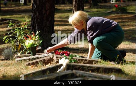 (Dpa) - ein Mitglied des Personals auf dem Soldatenfriedhof besucht das Grab eines ehemaligen deutschen Soldaten in Halbe, Deutschland, 8. September 2003. Der Friedhof ist sieben Hektar groß und beherbergt den größten Soldatenfriedhof in Deutschland. Es gibt Umrundungen 22.000 Soldaten und Zivilisten, die auf dieser Seite begraben Stockfoto