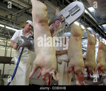 (Dpa) - Metzger trennen die geschlachteten Kadaver von Schweinen in zwei Hälften im städtischen Schlachthof in München, 17. Juli 2003. Es ist das größte kommunale Unternehmen seiner Art in Deutschland und Mitteleuropa und arbeitet als ein EU-Schlachtung und Verarbeitung-Haus, das für Intra - lizenziert ist Stockfoto