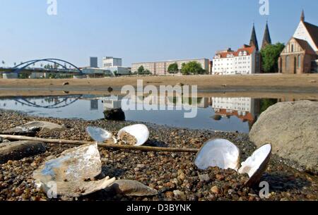 (Dpa) - Muscheln liegen gestrandeten in einem fast ausgetrockneten Wasser Pfütze im ehemaligen Flussbett des Flusses Oder in Frankfurt Oder, Ostdeutschland, 24. Juli 2003. Aufgrund des trockenen Wetters in den vergangenen Monaten den Wasserstand im deutschen Flüsse sinken kontinuierlich. Alle Binnenschifffahrt an der Oder wurde bereits Stockfoto