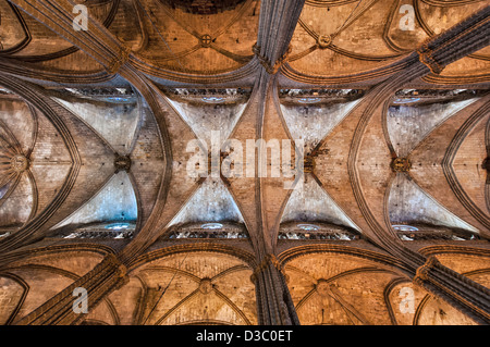 Kathedrale Santa Eulalia (sogenannte Seu) Interieur. Barcelona, Spanien. Stockfoto